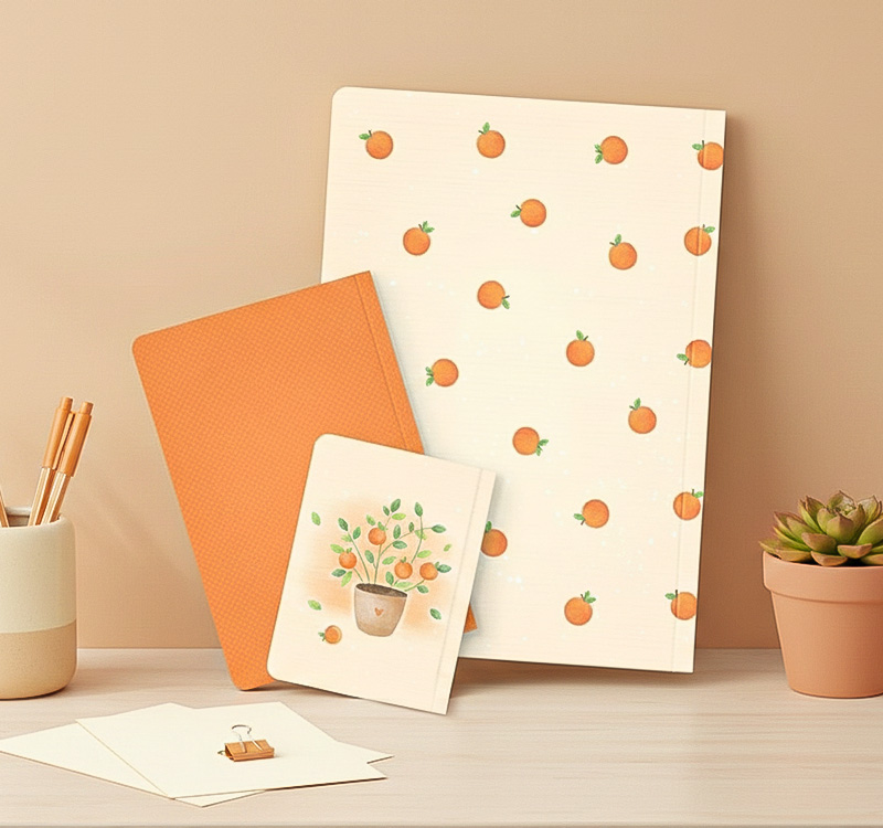 دفتر و دفترچه پیکسان